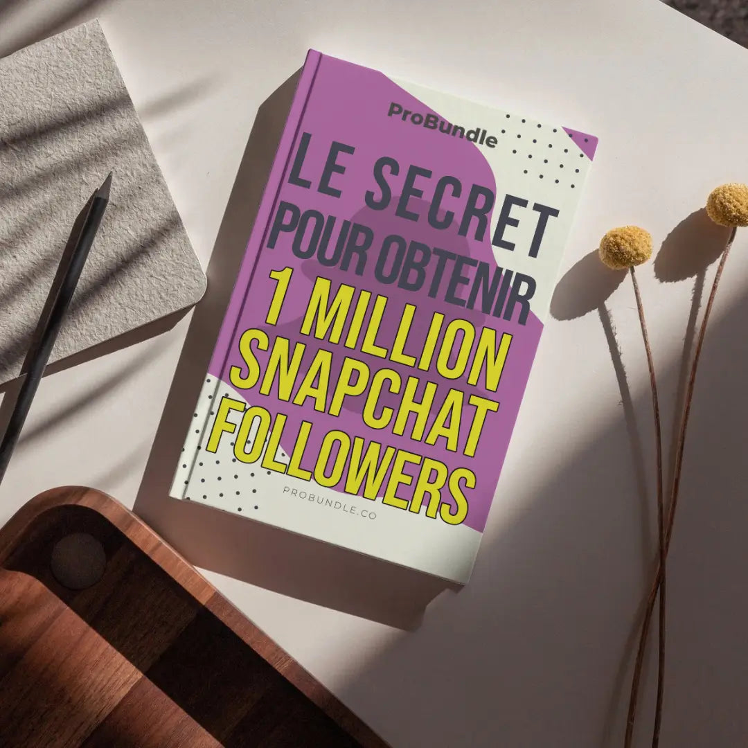eBook Snapchat en français – guide pour atteindre 1 million d’abonnés