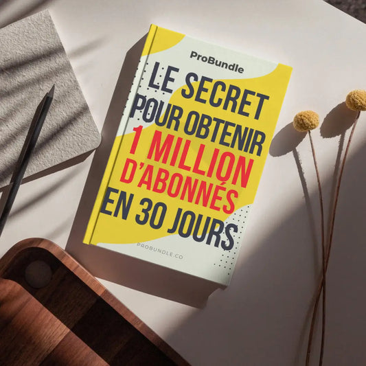 eBook en français sur YouTube – atteindre 1 million d’abonnés en 30 jours