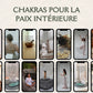 Collection “Chakra & apaisement du stress” avec 120 reels faceless en français. Parfait pour promouvoir la détente, la paix intérieure et la régulation émotionnelle sur Instagram ou TikTok.