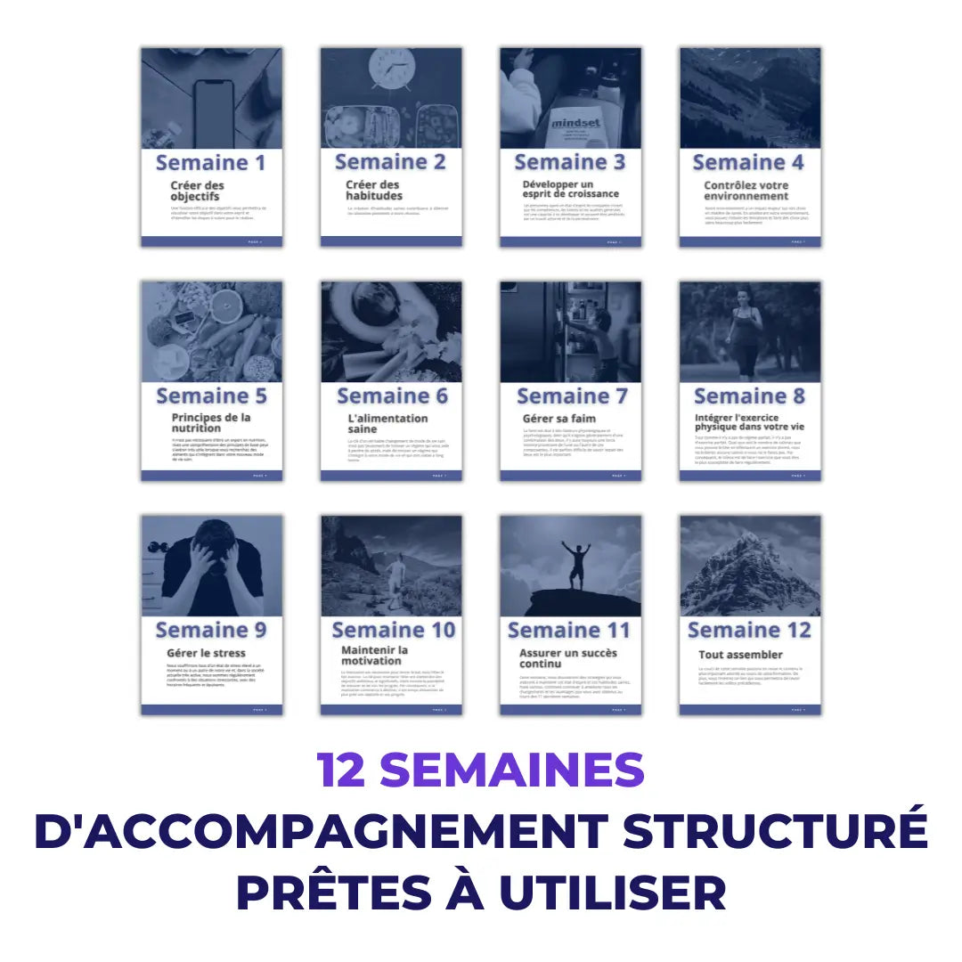 Cours en ligne pour coachs – publication professionnelle sur 3 mois