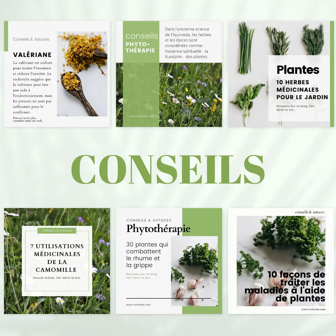 Visuels bien-être à base de plantes – publication pour thérapeutes et naturopathes