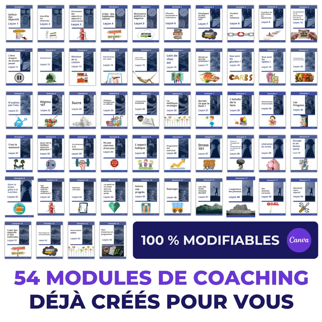 500 pages de contenu en français pour les coachs de santé