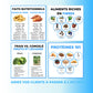 Exemples d'infographies sur l'alimentation équilibrée, les glucides, les calories et les fruits et légumes