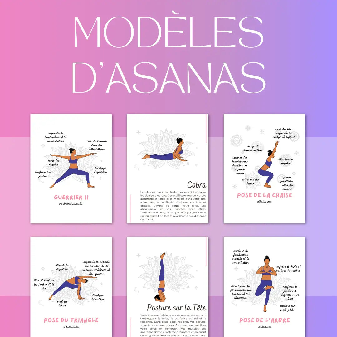 Infographies asanas et chakras – pack visuel pour professeurs de yoga