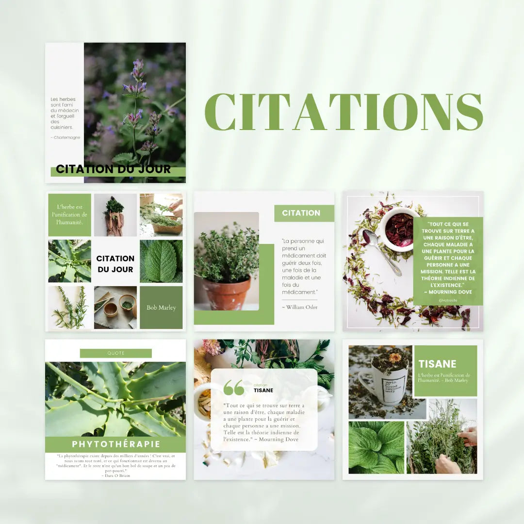 Modèles Canva pour marques de phytothérapie – visuels engageants