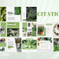 Canva templates pour phytothérapie – citations, conseils et stories santé naturelle