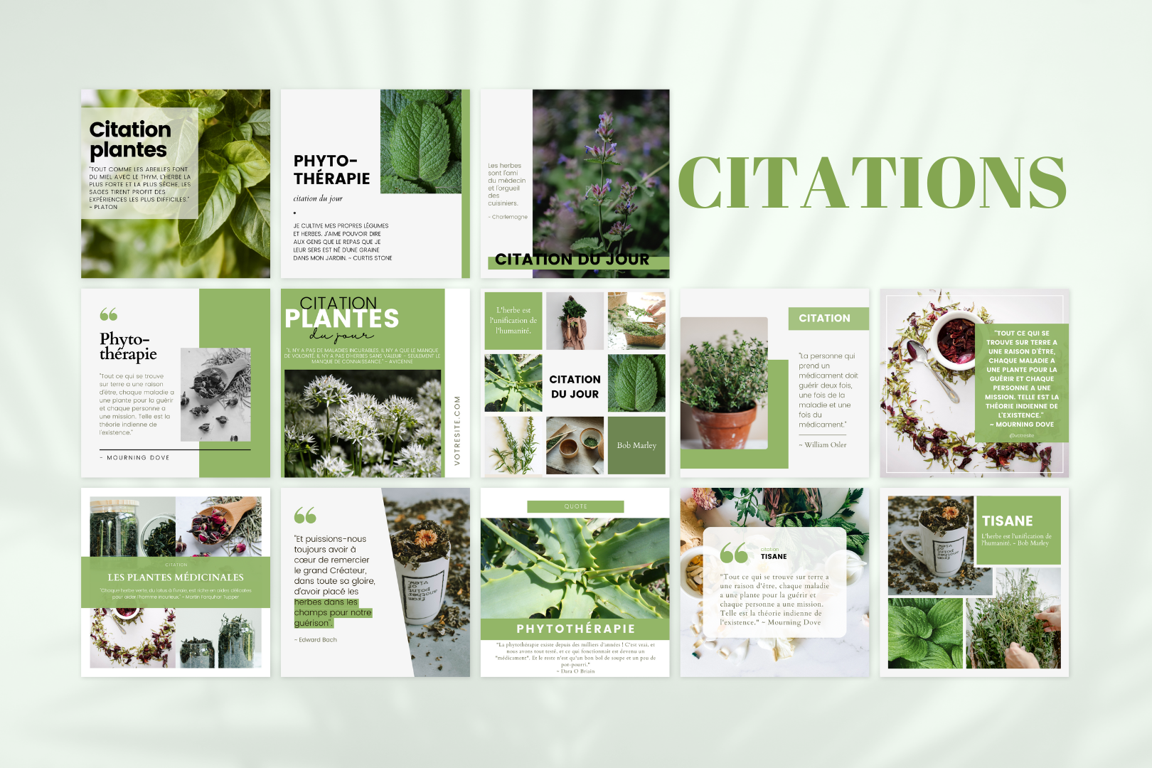 Canva templates pour phytothérapie – citations, conseils et stories santé naturelle
