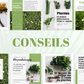Modèles Canva pour marques de phytothérapie – visuels engageants