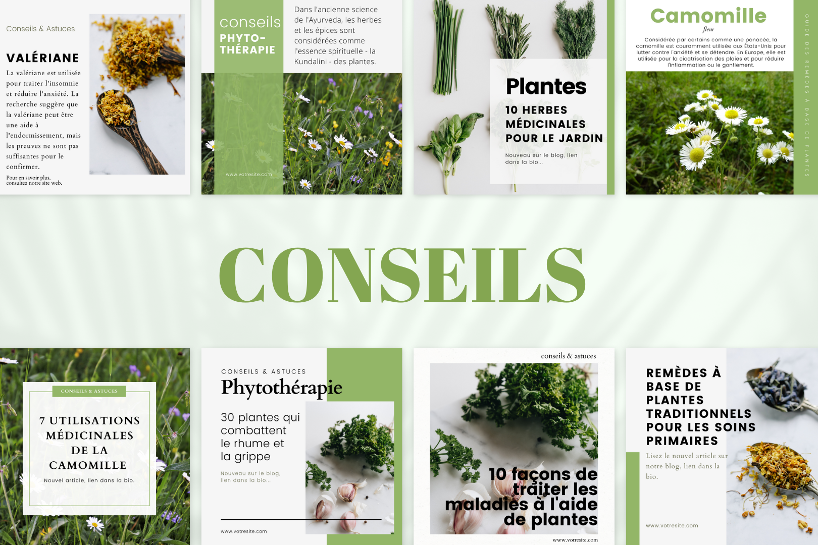 Modèles Canva pour marques de phytothérapie – visuels engageants